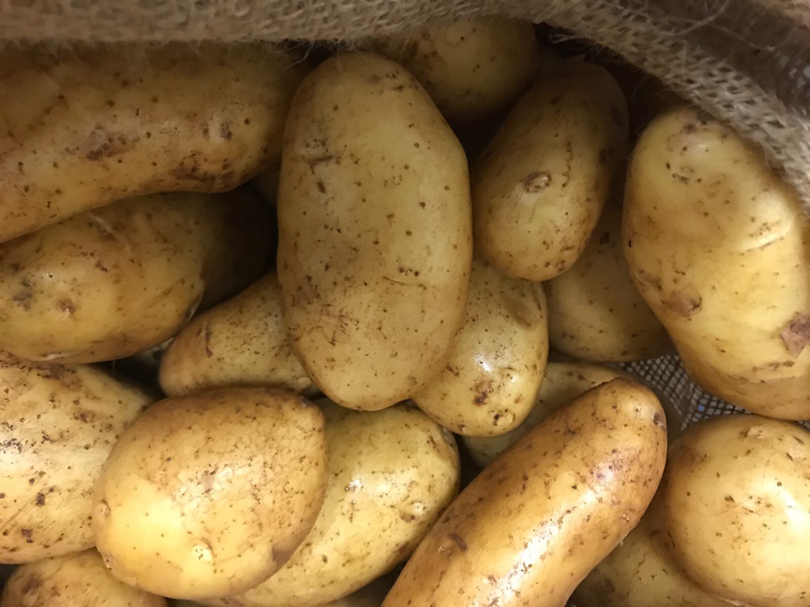 PATATA